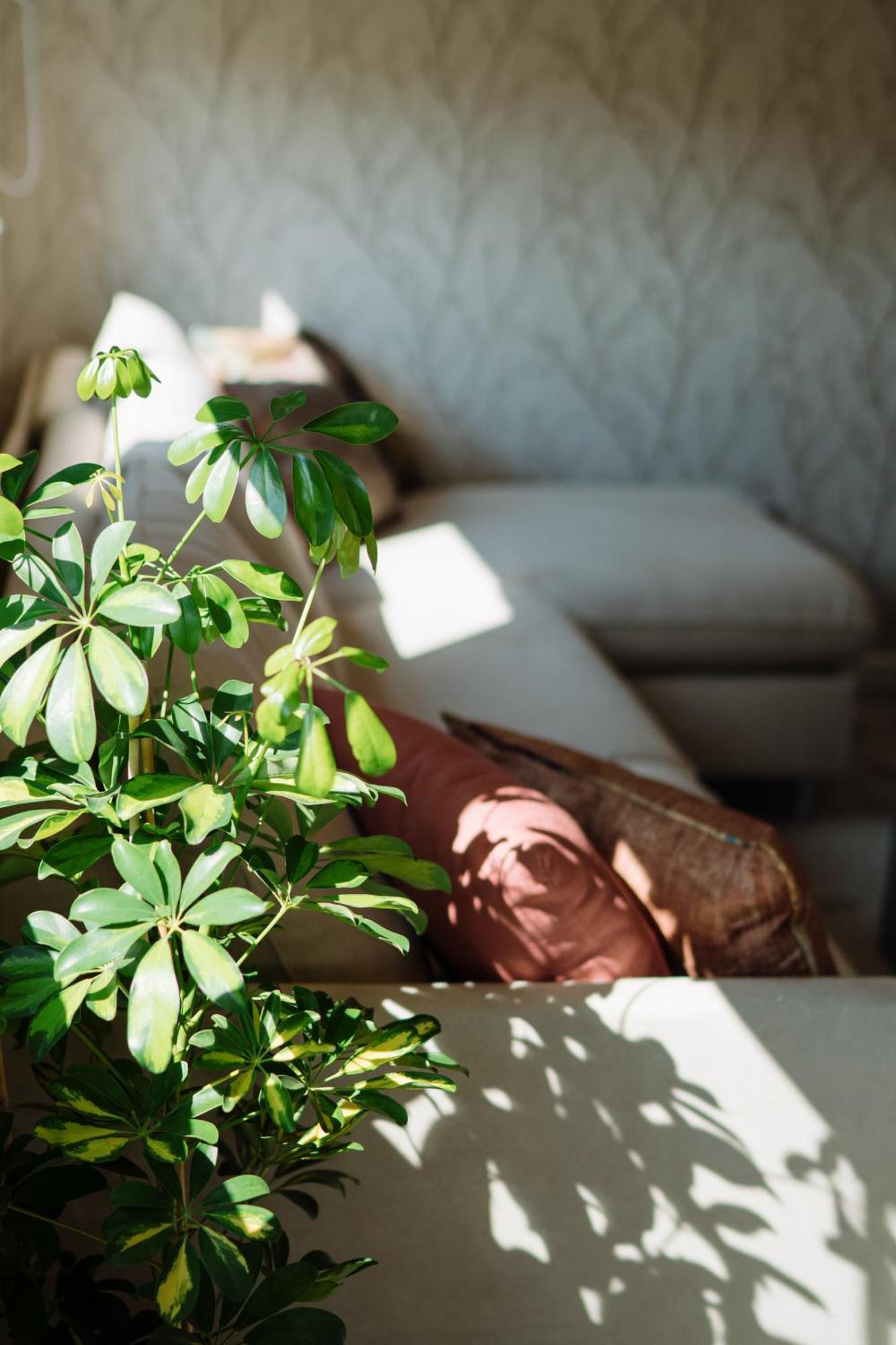 Lena Luxury Apartments 扎达尔 外观 照片